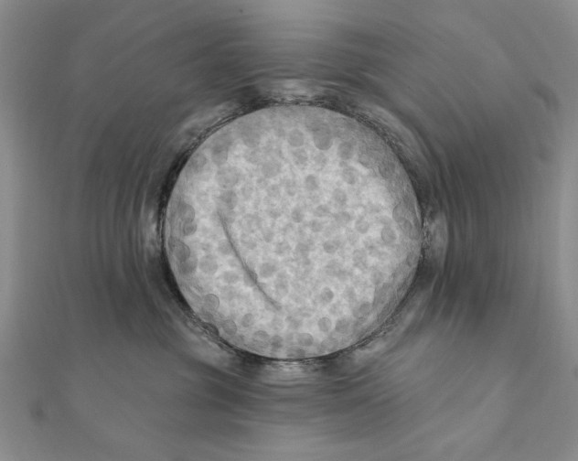 X0000111670381200908141434