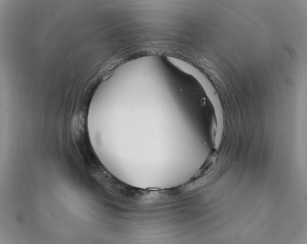 X0000111670382200908141434