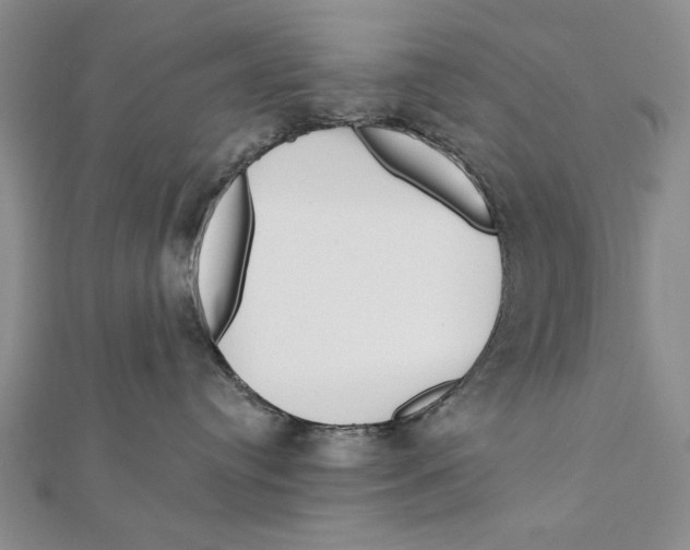 X0000111670384200908141434