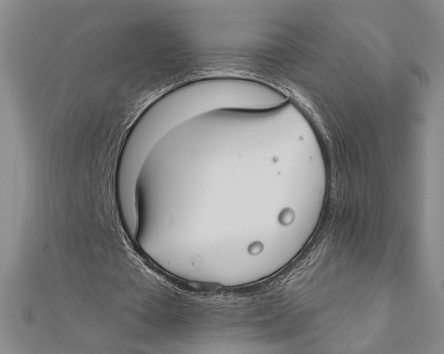 X0000111670385200908141433