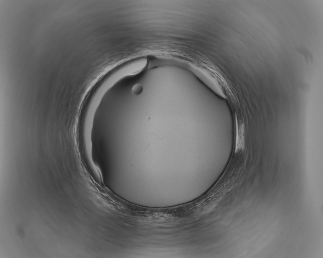 X0000111670387200908141433