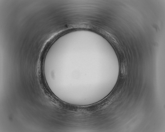 X0000111670388200908141433