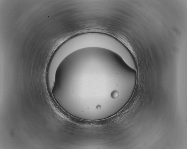 X0000111670389200908141433