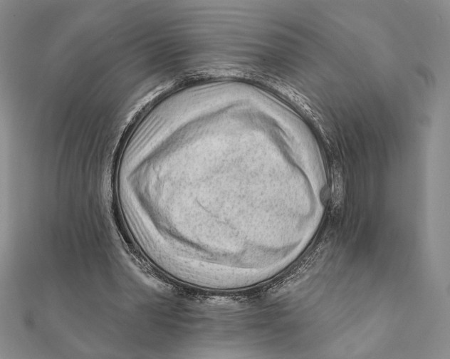 X0000111670390200908141433