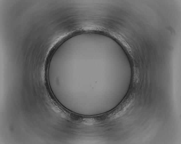 X0000111670391200908141433