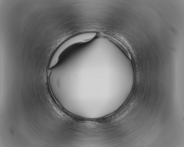 X0000111670393200908141433