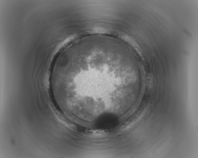 X0000111670395200908141433