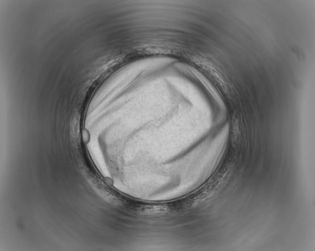 X0000111670398200908141433