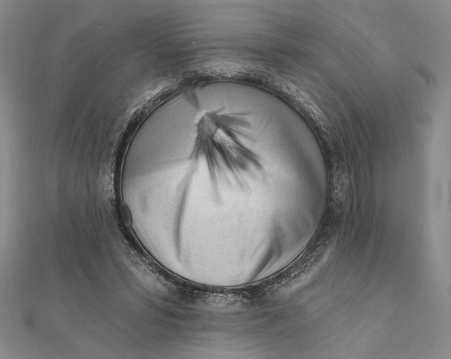 X0000111670399200908141433