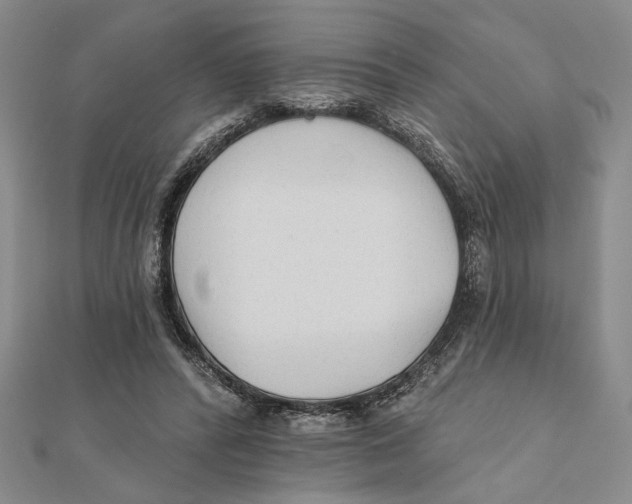 X0000111670400200908141433