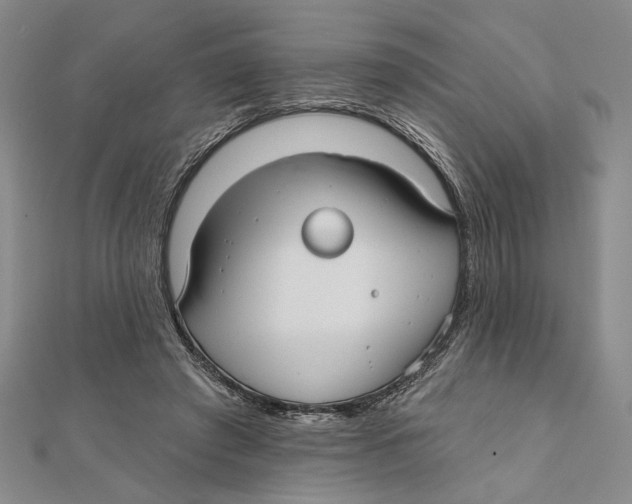 X0000111670401200908141433