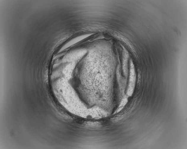 X0000111670403200908141433