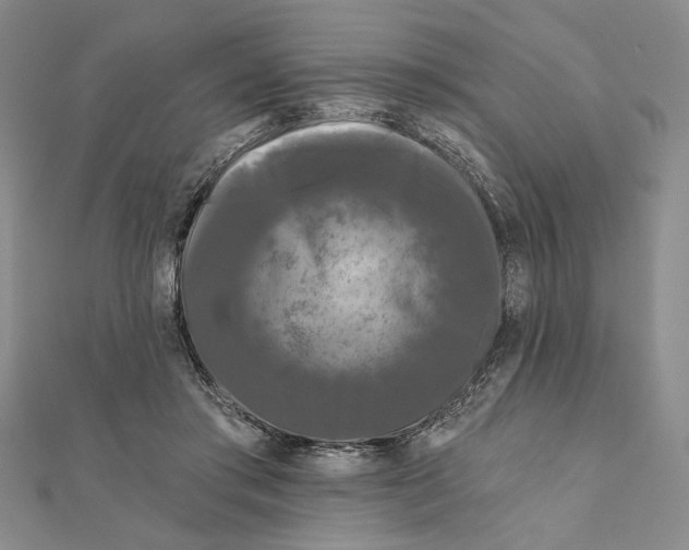 X0000111670405200908141433