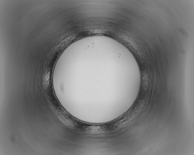 X0000111670406200908141433