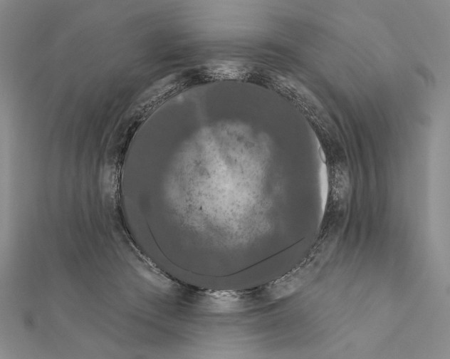 X0000111670409200908141433