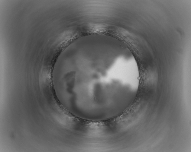 X0000111670415200908141433