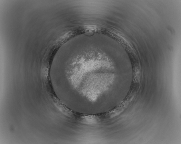 X0000111670417200908141433