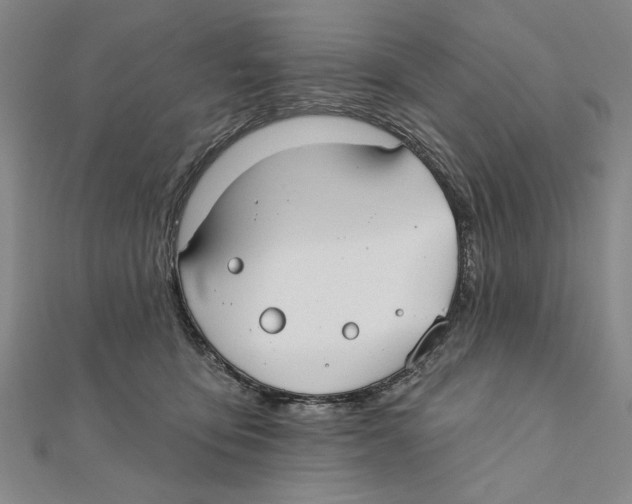 X0000111670419200908141433