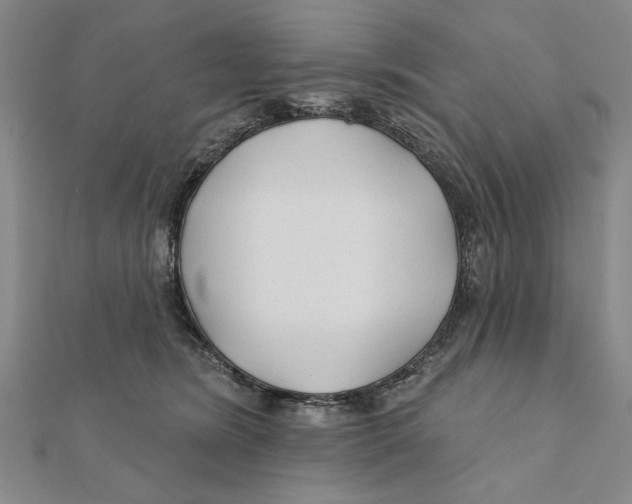 X0000111670420200908141433