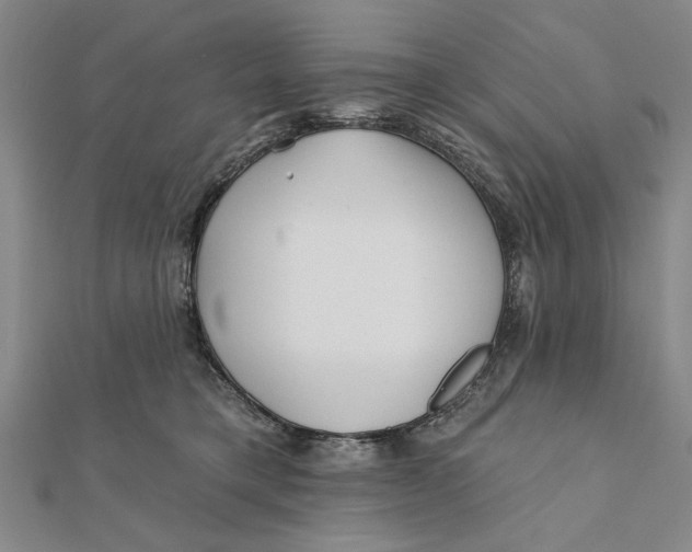 X0000111670421200908141433