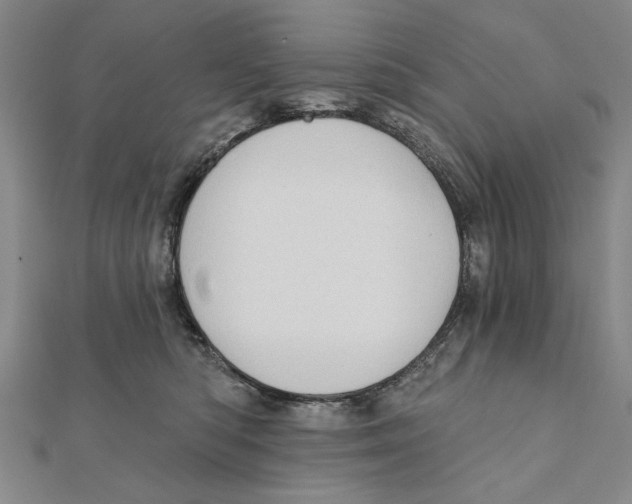 X0000111670422200908141433