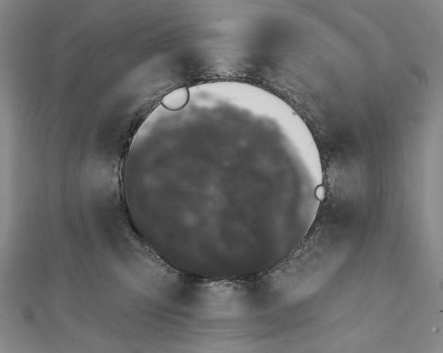 X0000111670423200908141433