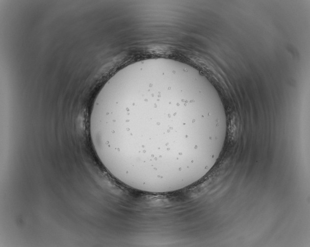 X0000111670424200908141433