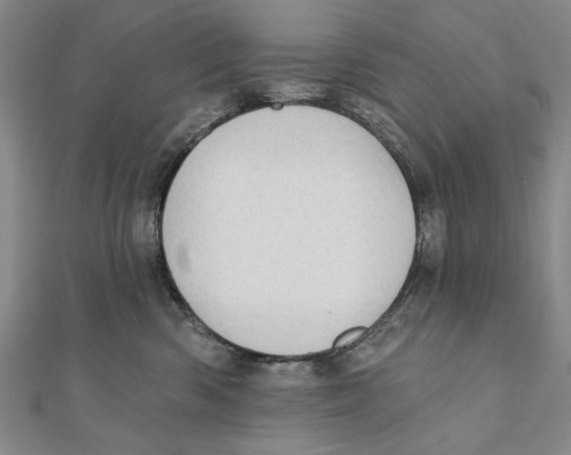 X0000111670426200908141433