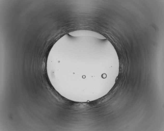 X0000111670427200908141433