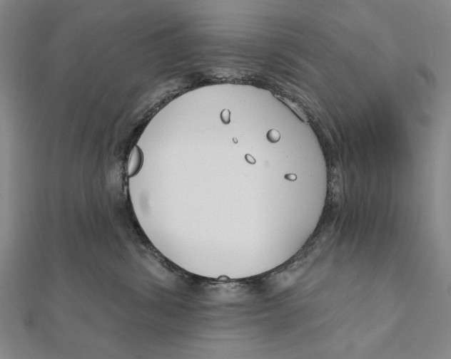 X0000111670428200908141433