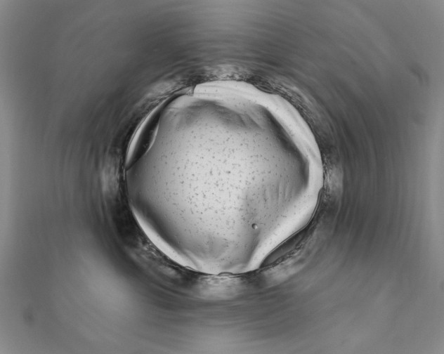 X0000111670429200908141433