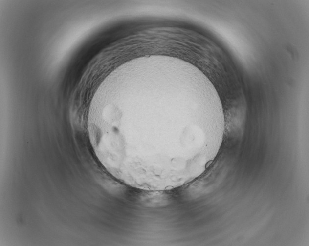 X0000111670431200908141433