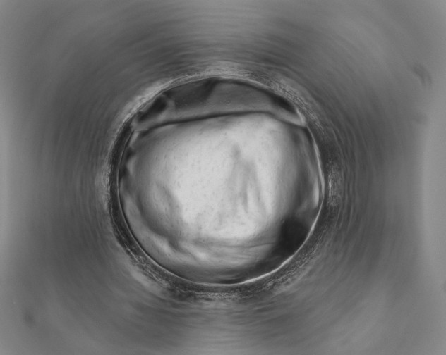 X0000111670436200908141432