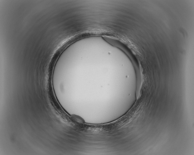 X0000111670440200908141432