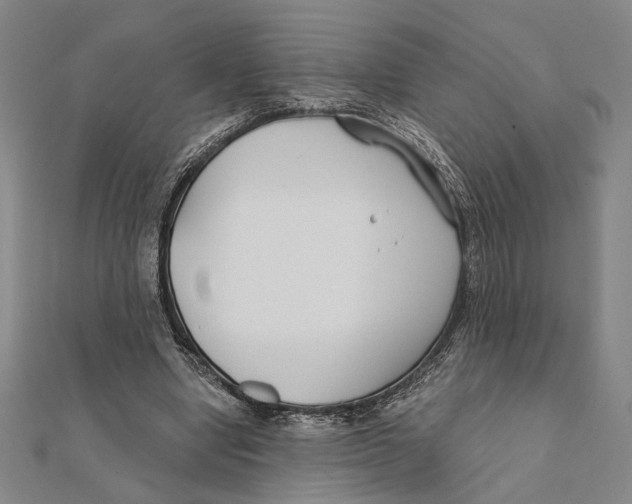 X0000111670442200908141432