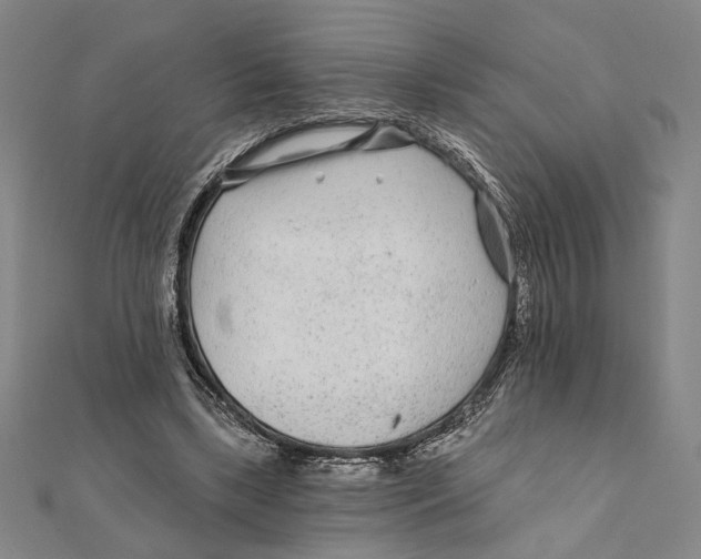 X0000111670443200908141432