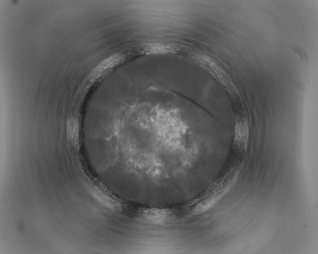 X0000111670444200908141432