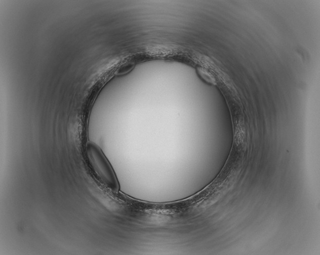 X0000111670448200908141432