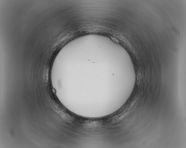 X0000111670454200908141432