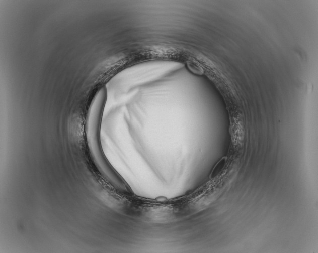 X0000111670456200908141432