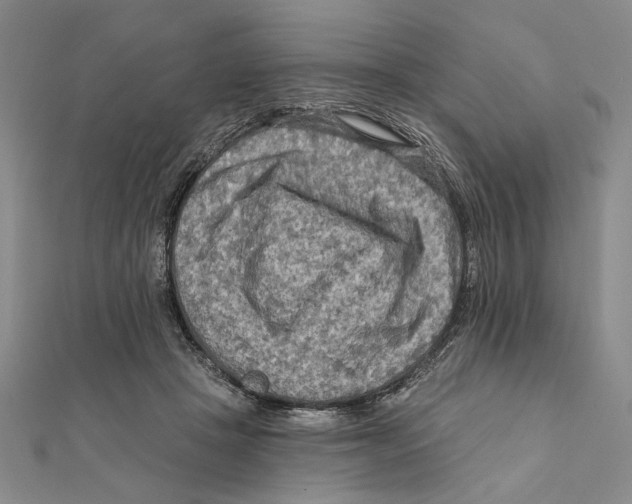 X0000111670457200908141432