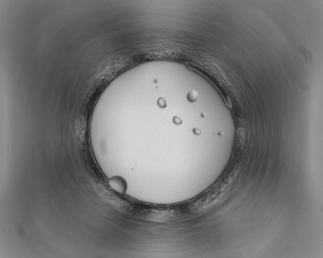 X0000111670458200908141432