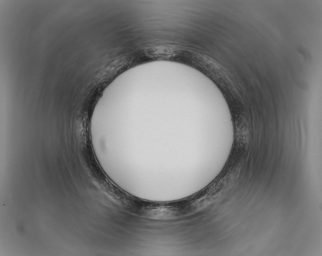 X0000111670460200908141432