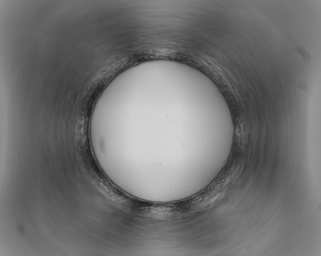 X0000111670462200908141432