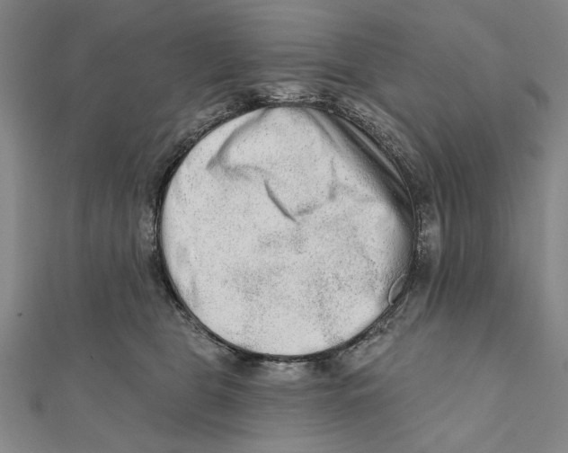 X0000111670469200908141432