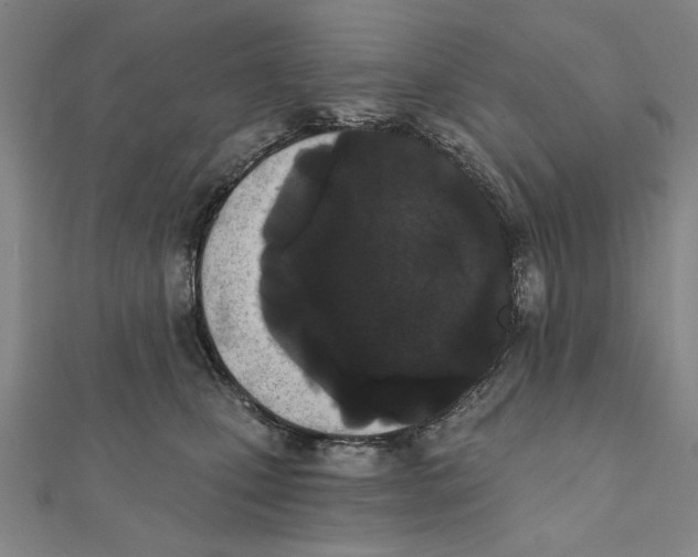 X0000111670471200908141432