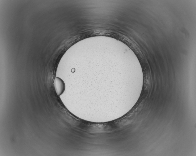 X0000111670473200908141433