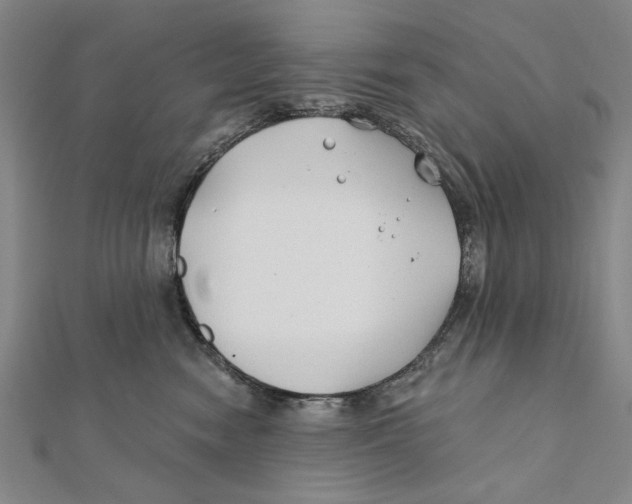 X0000111670474200908141433