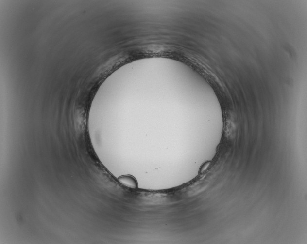 X0000111670476200908141433