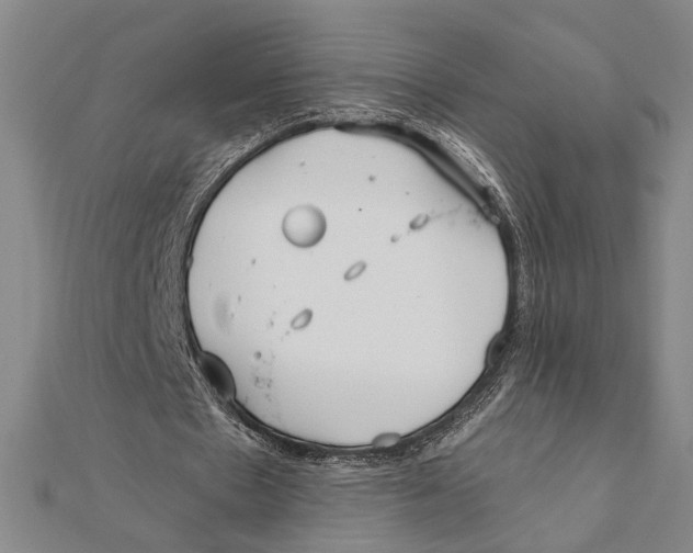 X0000111670481200908141432